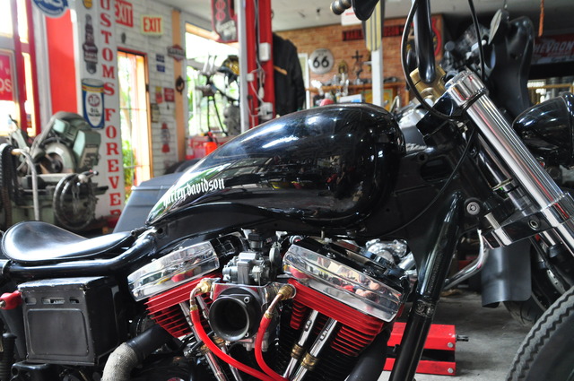 DSC_0025 - コピー (8)