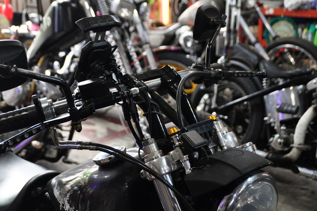 DSC_0017 - コピー (47)