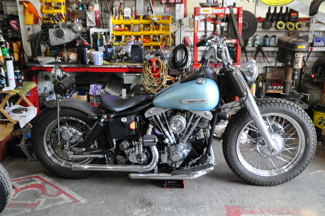 DSC_0048 (5)