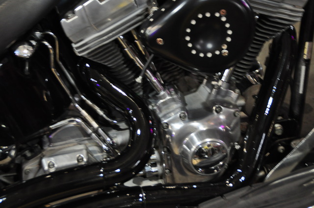 DSC_0015 - コピー (25)