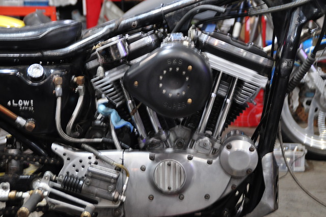 DSC_0010 (59)