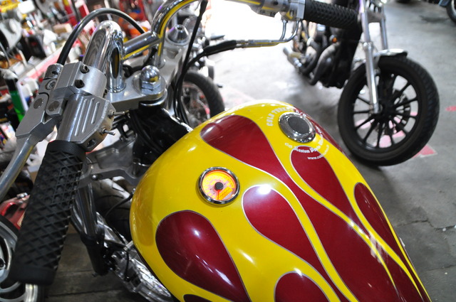 DSC_0031 (17)