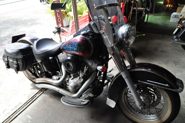 DSC_0001 - コピー (29)