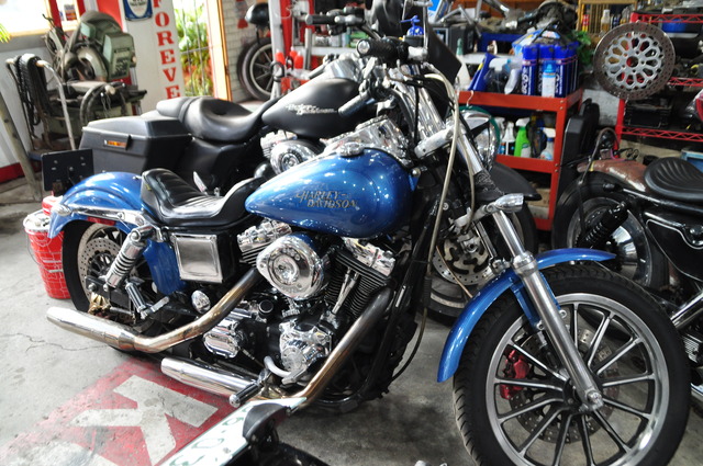 DSC_0008 - コピー (30)