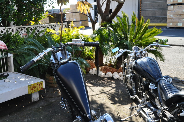 DSC_0025 (8)