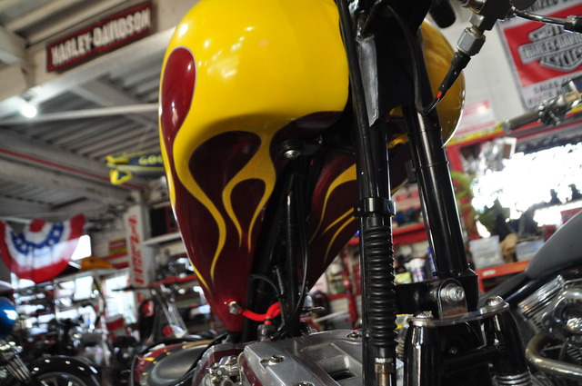 DSC_0051 (7)