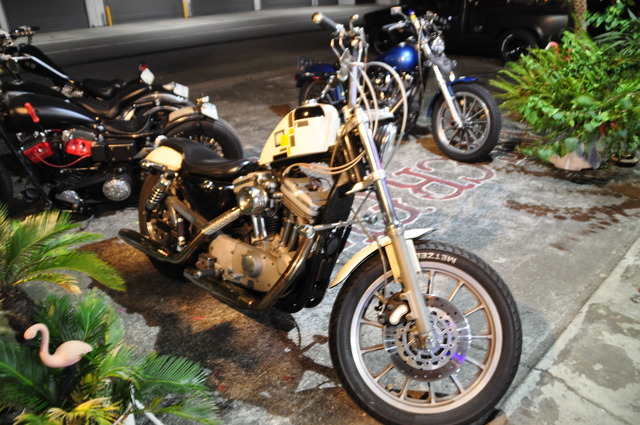 DSC_0038 - コピー (7)