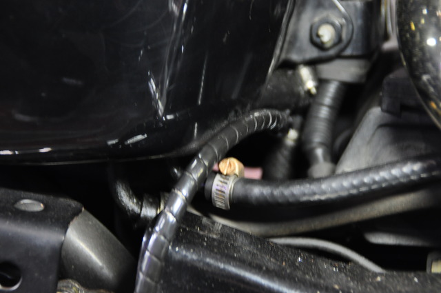 DSC_0021 - コピー (19)