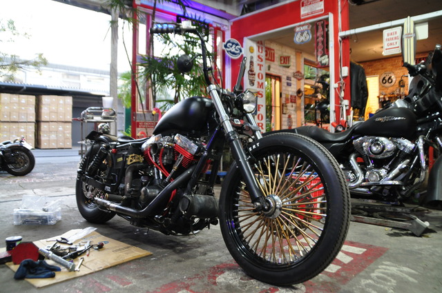 DSC_0009 (6)