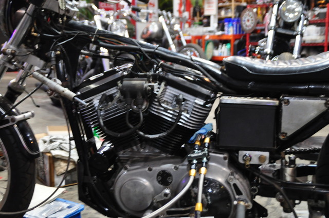 DSC_0011 (52)