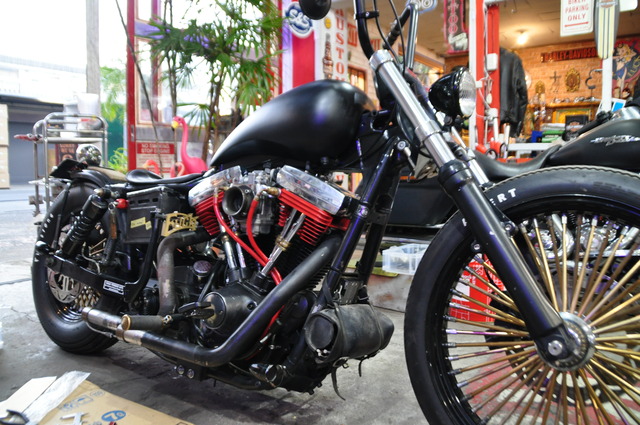 DSC_0008 (6)