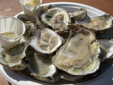 8/18Oyster