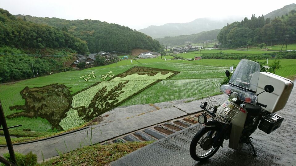 イメージ 10