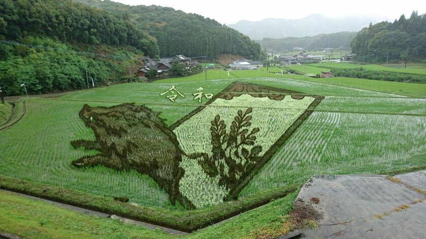 イメージ 12