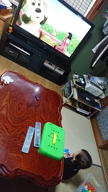 イメージ 7