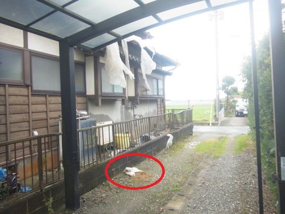 イメージ 7