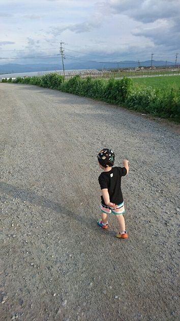イメージ 10