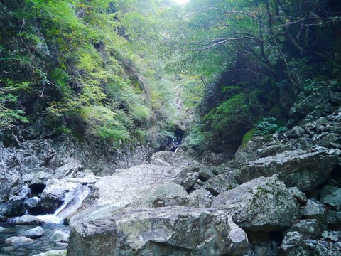 エントリ画像