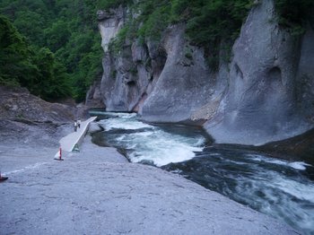 6f95c05f.jpg