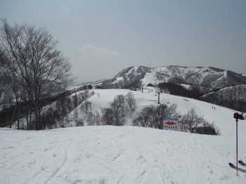d0fbea60.jpg