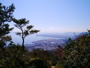 f3088759.jpg
