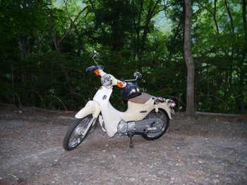 f5deef41.jpg