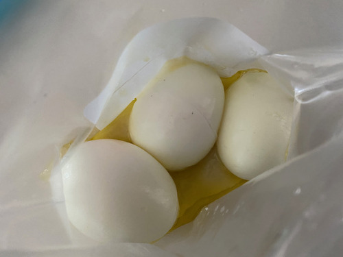 IMG_7281のコピー