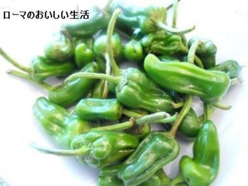 o0601045112517626552