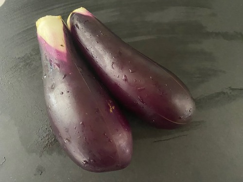 IMG_2954