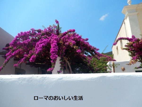 ローマのおいしい生活