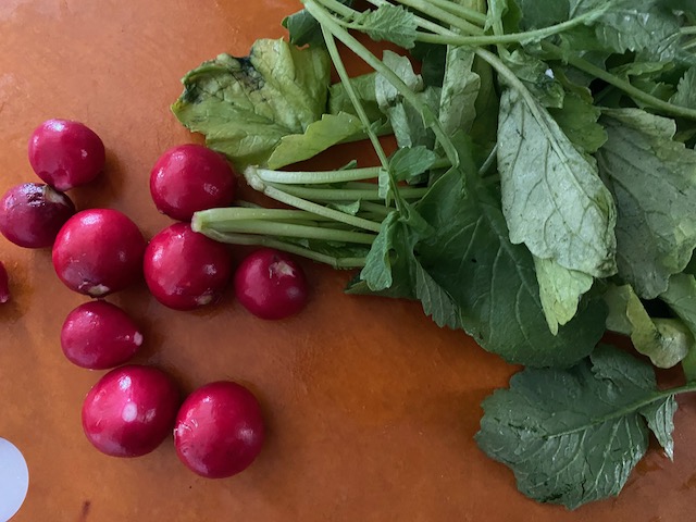 ラディッシュの葉っぱで一品 ごま和え風 ローマのおいしい生活in東京 Powered By ライブドアブログ