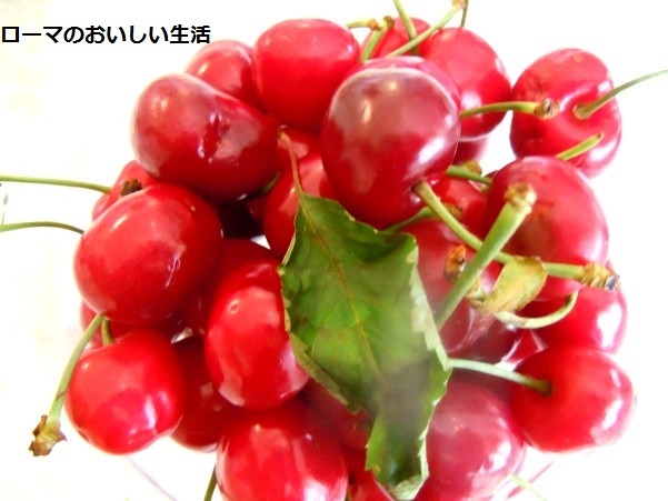 ローマのおいしい生活