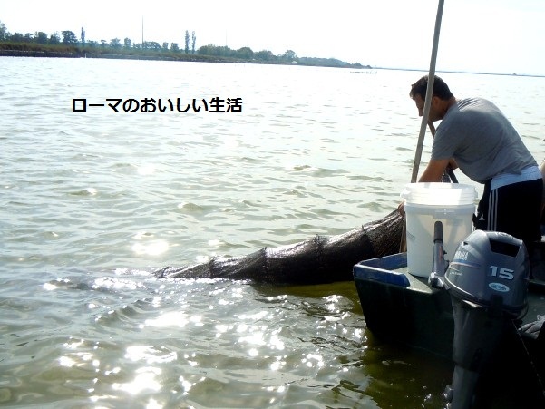 ローマのおいしい生活