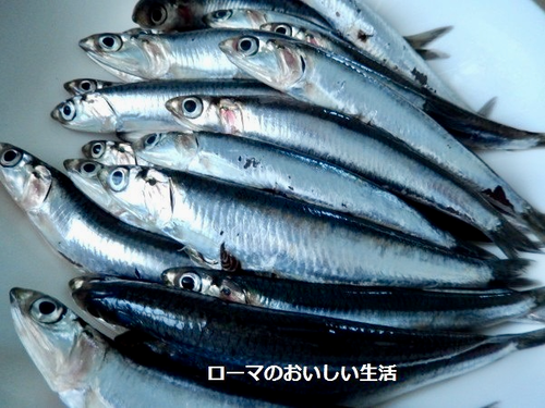 画像 1