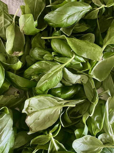 IMG_9275