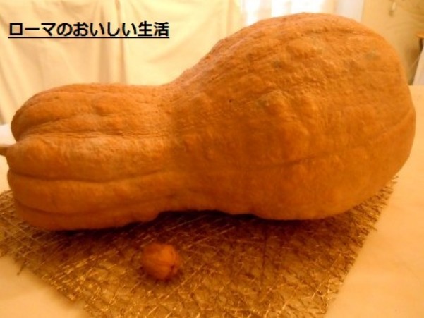 ローマのおいしい生活-野菜