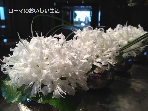 ローマのおいしい生活