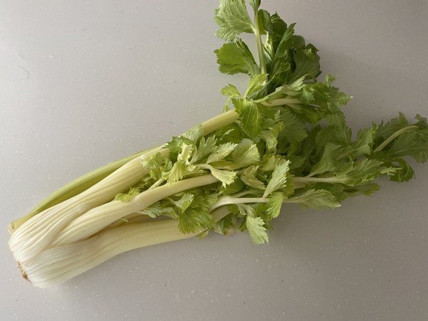 しゃきしゃきセロリがおいしい タコとセロリのサラダ ボッタルガ風味 ローマのおいしい生活in東京 Powered By ライブドアブログ