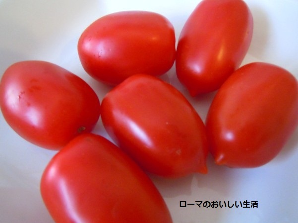 ローマのおいしい生活-tomato