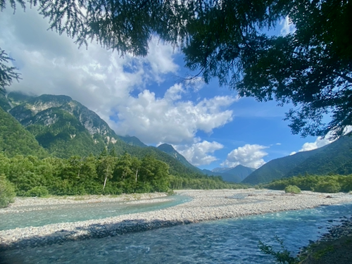 786CC33D-B5C2-44BF-821B-67EF6FFCDDE6