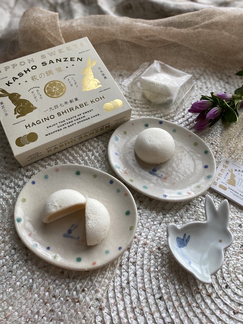 0C231AC6-3406-4A21-A923-8F616C2BA860_1_201_a