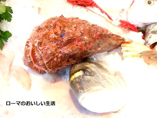 ローマのおいしい生活