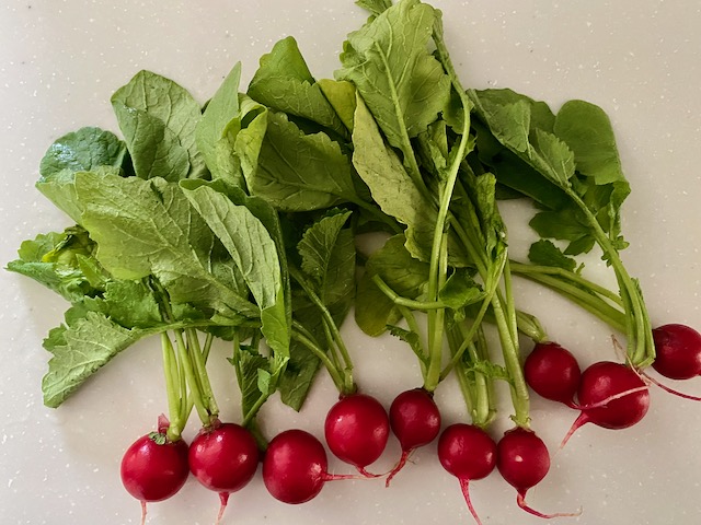 ラディッシュの葉っぱで一品 ごま和え風 ローマのおいしい生活in東京 Powered By ライブドアブログ