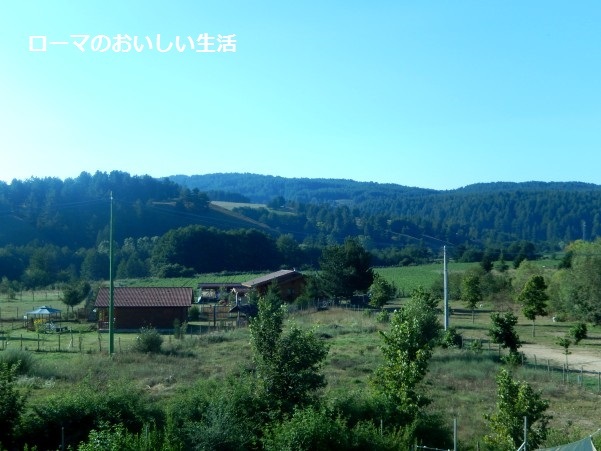 ローマのおいしい生活