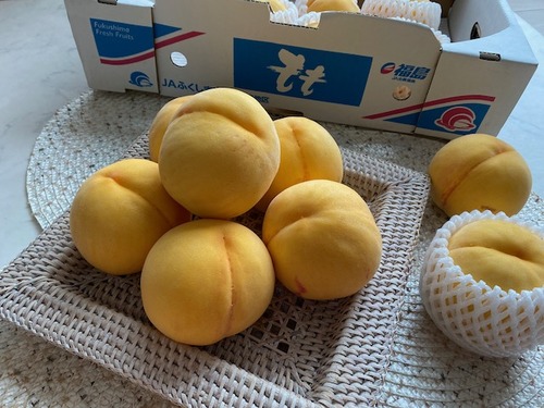 IMG_2773のコピー