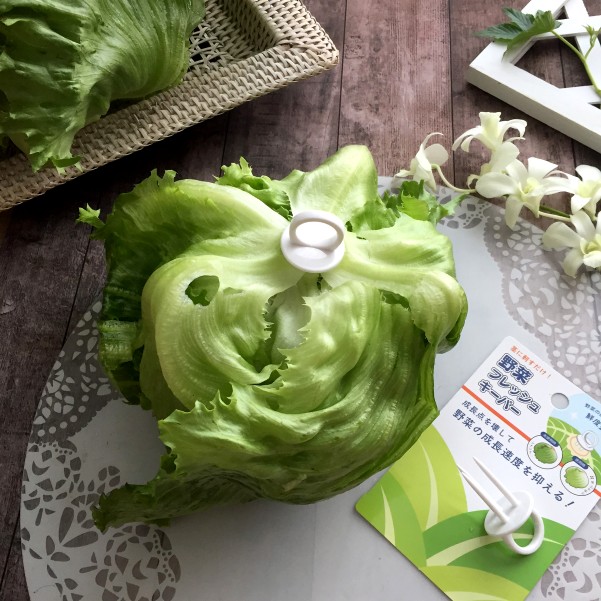 これは便利 セリアの野菜フレッシュキーパーでレタスがシャキシャキ ローマのおいしい生活in東京 Powered By ライブドアブログ