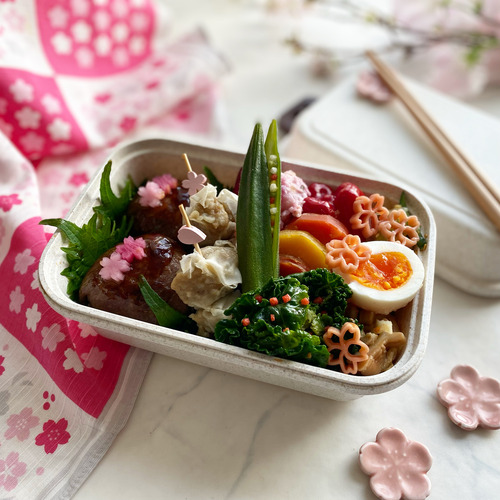 BB4FE3BA-F673-447C-B87B-0CE8269A85A5