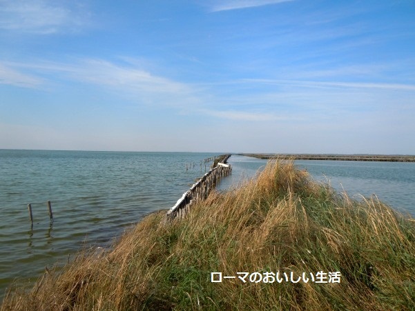 ローマのおいしい生活