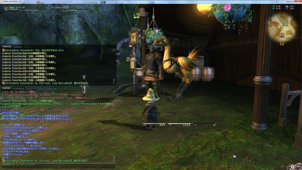 Ff11とff14のグラフィック比較 Cuderiaの旧lodestone日記