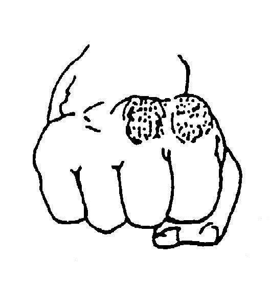 正拳突きの威力を上げるヒント 中年空手百条委員会 正拳突きの威力を上げるヒント 中年空手百条委員会